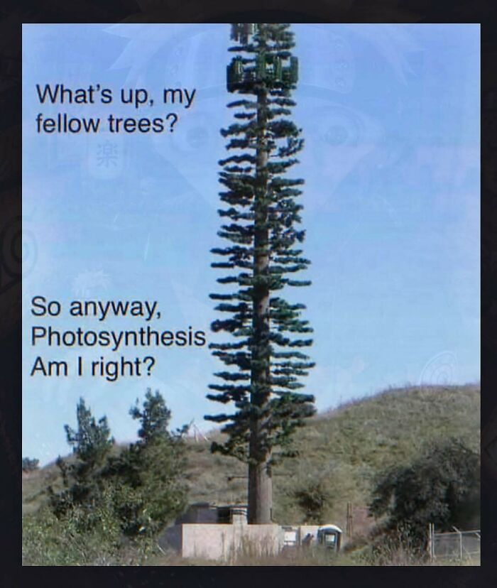 Thousands Of People Follow This Page For Its Chaotic And Unhinged Pics, Here Are 67 Of The Best Ones