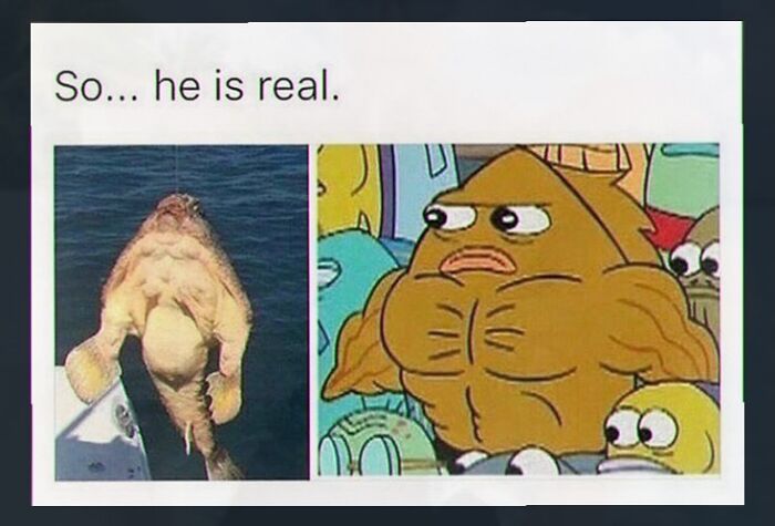 Thousands Of People Follow This Page For Its Chaotic And Unhinged Pics, Here Are 67 Of The Best Ones