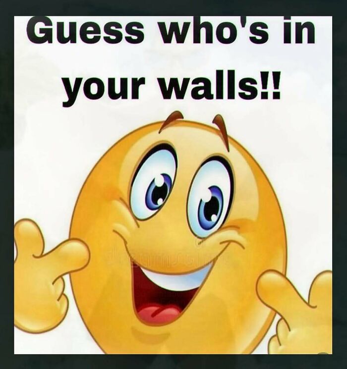 Thousands Of People Follow This Page For Its Chaotic And Unhinged Pics, Here Are 67 Of The Best Ones