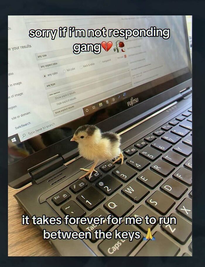 Thousands Of People Follow This Page For Its Chaotic And Unhinged Pics, Here Are 67 Of The Best Ones