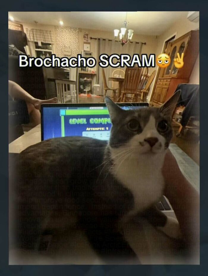 Thousands Of People Follow This Page For Its Chaotic And Unhinged Pics, Here Are 67 Of The Best Ones