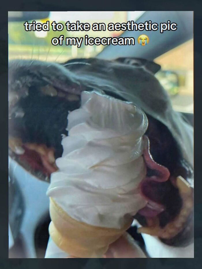 Thousands Of People Follow This Page For Its Chaotic And Unhinged Pics, Here Are 67 Of The Best Ones