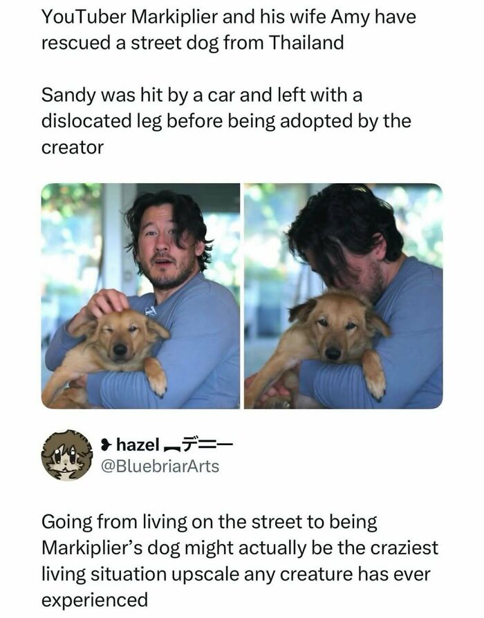 81 Of The Funniest Pop Culture Posts You Can Pass Around For Instant Good Vibes 81 Of The Funniest Pop Culture Posts You Can Pass Around For Instant Good Vibes