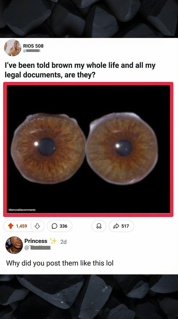97 Great Comments That Were Funnier Than The Original Posts 97 Great Comments That Were Funnier Than The Original Posts
