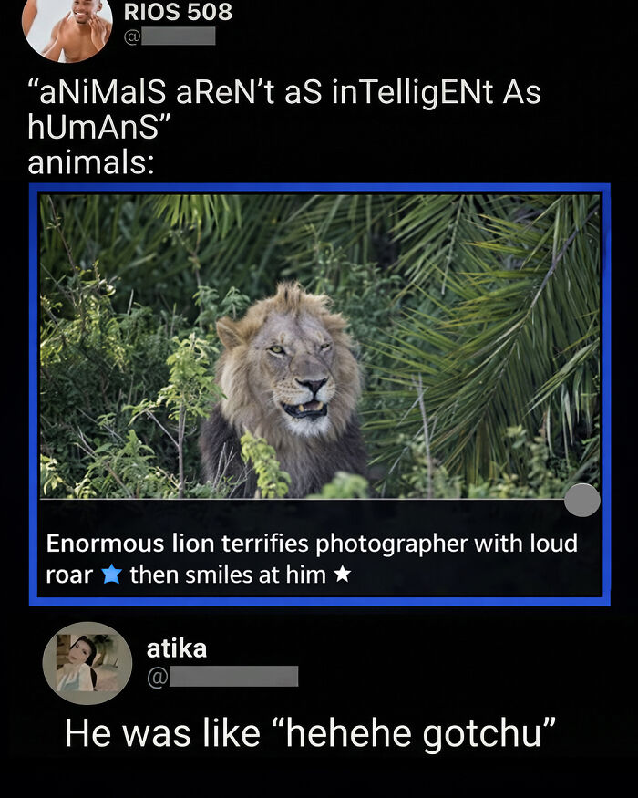 97 Great Comments That Were Funnier Than The Original Posts 97 Great Comments That Were Funnier Than The Original Posts