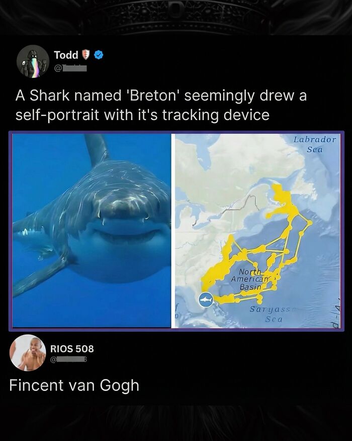97 Great Comments That Were Funnier Than The Original Posts 97 Great Comments That Were Funnier Than The Original Posts