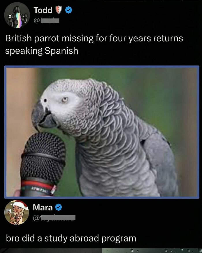 97 Great Comments That Were Funnier Than The Original Posts 97 Great Comments That Were Funnier Than The Original Posts