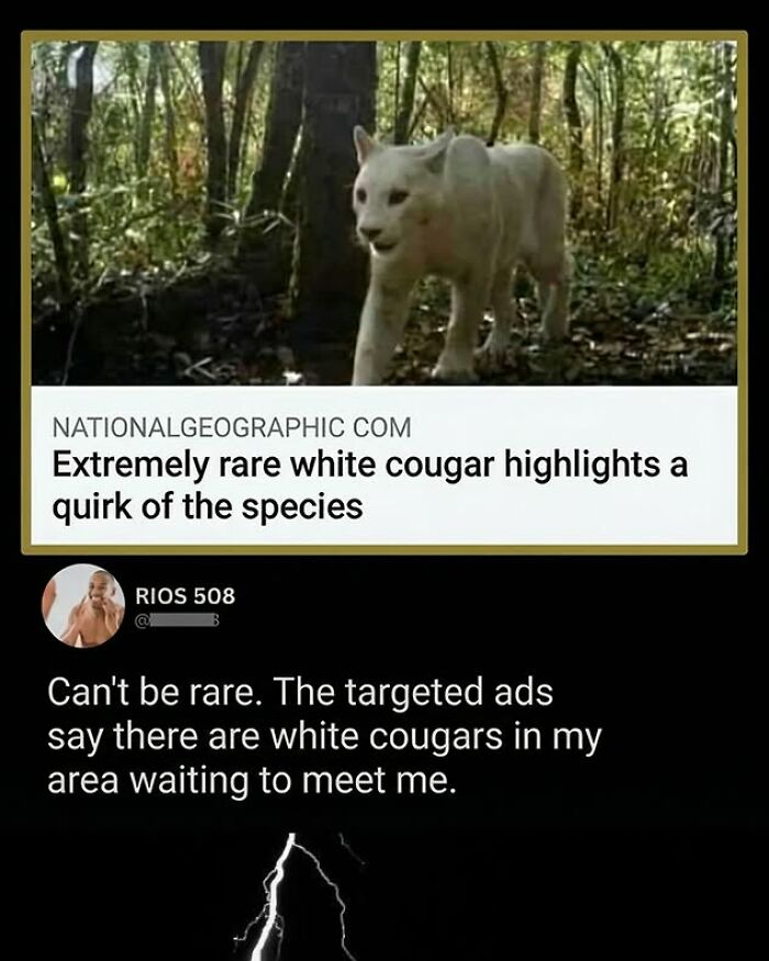 97 Great Comments That Were Funnier Than The Original Posts 97 Great Comments That Were Funnier Than The Original Posts