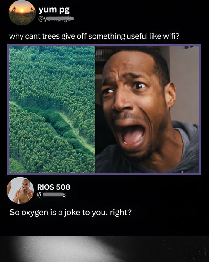 97 Great Comments That Were Funnier Than The Original Posts 97 Great Comments That Were Funnier Than The Original Posts