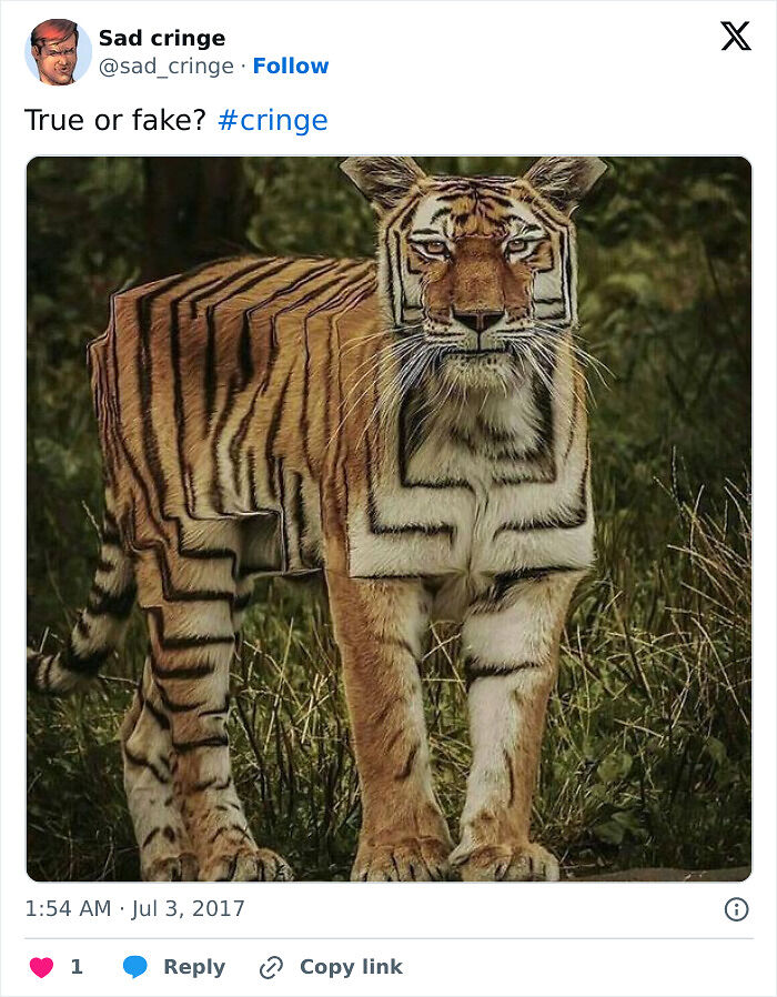 77 Times People Posted Something So Cringy, It Was Just Incredibly Sad 77 Times People Posted Something So Cringy, It Was Just Incredibly Sad