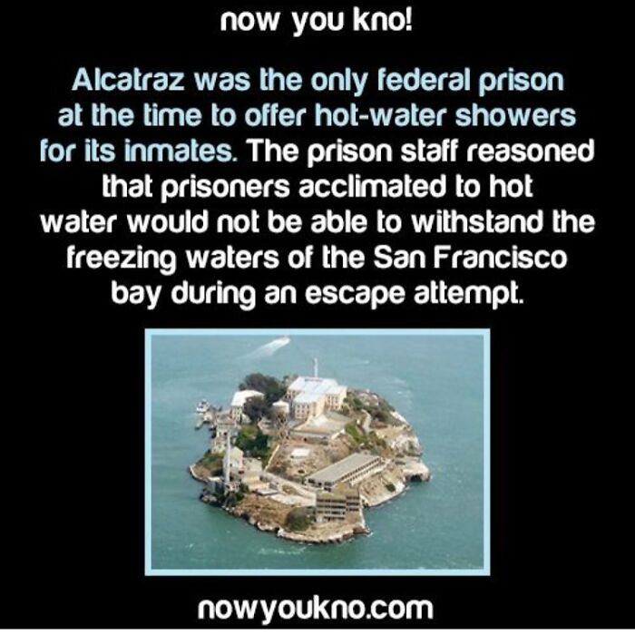 75 Terrifying Facts And Horror Stories That Kept People Awake At Night 75 Terrifying Facts And Horror Stories That Kept People Awake At Night