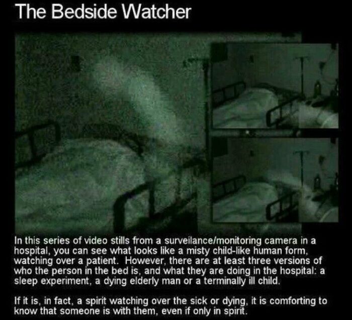 75 Terrifying Facts And Horror Stories That Kept People Awake At Night 75 Terrifying Facts And Horror Stories That Kept People Awake At Night