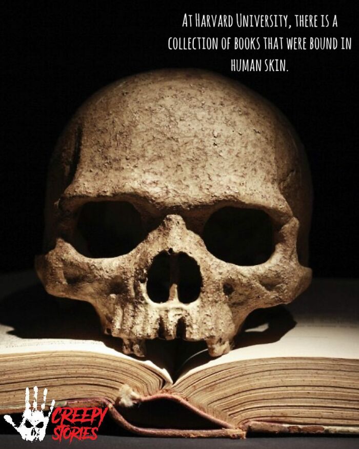 75 Terrifying Facts And Horror Stories That Kept People Awake At Night 75 Terrifying Facts And Horror Stories That Kept People Awake At Night