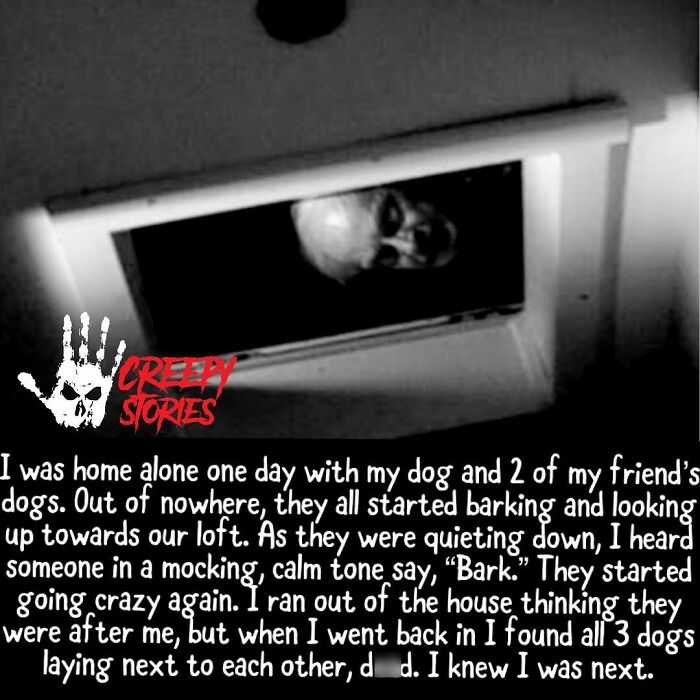 75 Terrifying Facts And Horror Stories That Kept People Awake At Night 75 Terrifying Facts And Horror Stories That Kept People Awake At Night