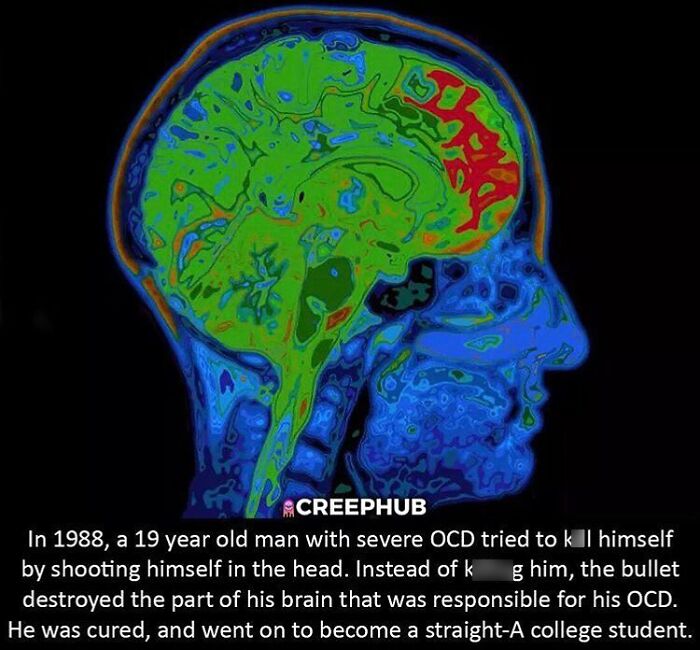 75 Terrifying Facts And Horror Stories That Kept People Awake At Night 75 Terrifying Facts And Horror Stories That Kept People Awake At Night