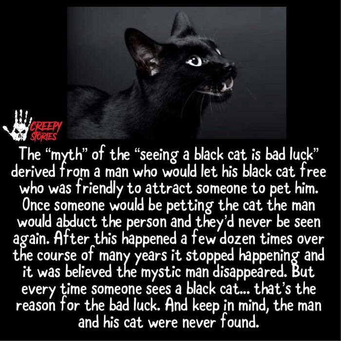 75 Terrifying Facts And Horror Stories That Kept People Awake At Night 75 Terrifying Facts And Horror Stories That Kept People Awake At Night