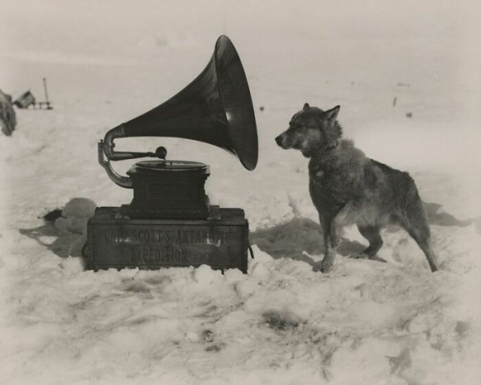 71 Interesting Photos And Objects That Are Still Intact After All These Years 71 Interesting Photos And Objects That Are Still Intact After All These Years