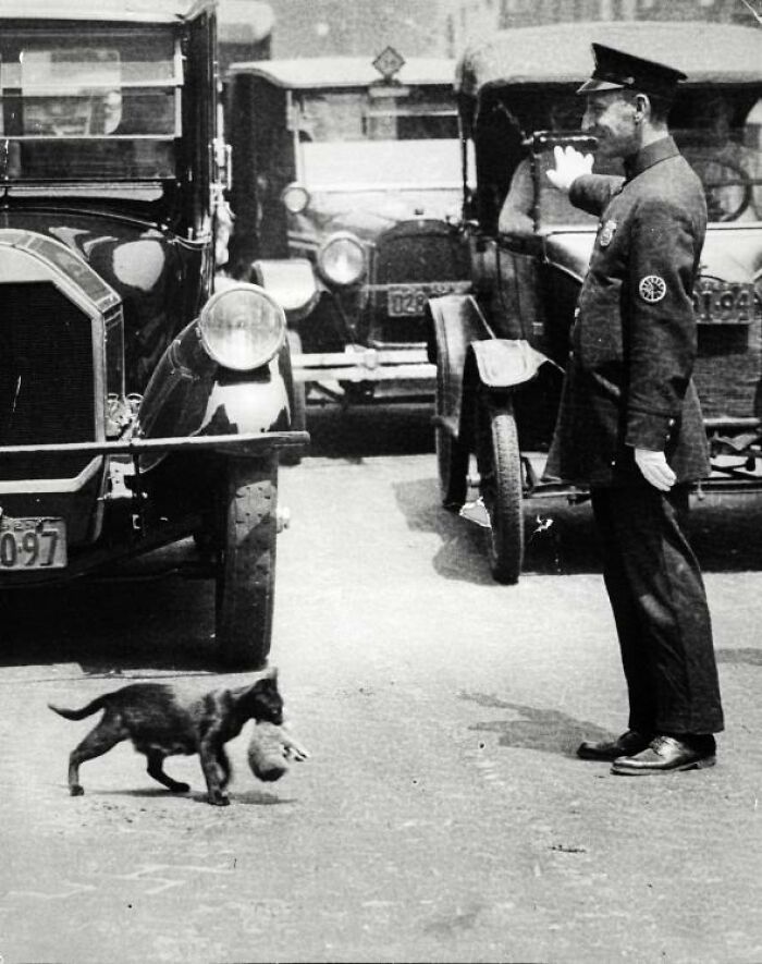 71 Interesting Photos And Objects That Are Still Intact After All These Years 71 Interesting Photos And Objects That Are Still Intact After All These Years