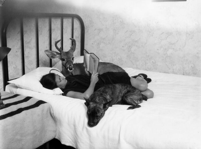 71 Interesting Photos And Objects That Are Still Intact After All These Years 71 Interesting Photos And Objects That Are Still Intact After All These Years