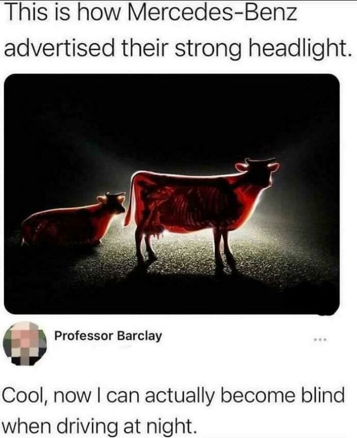 53 Memes That Might Be The Best Use Of Your Time Today 53 Memes That Might Be The Best Use Of Your Time Today