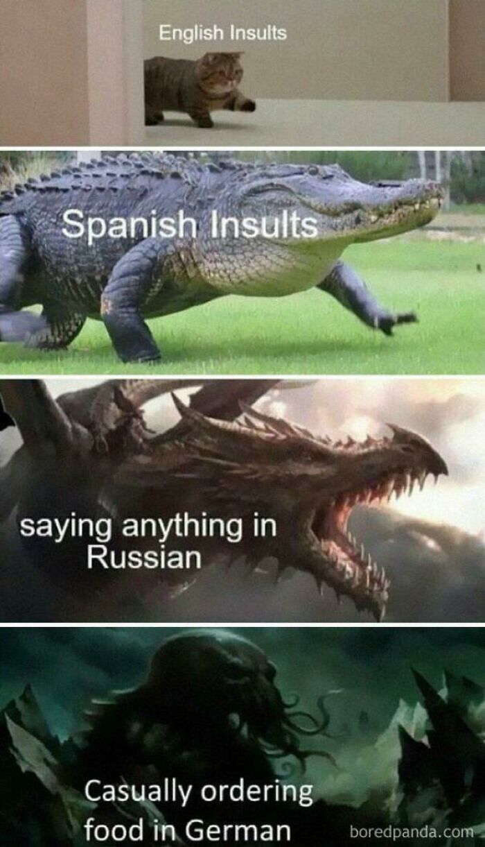 53 Memes That Might Be The Best Use Of Your Time Today 53 Memes That Might Be The Best Use Of Your Time Today