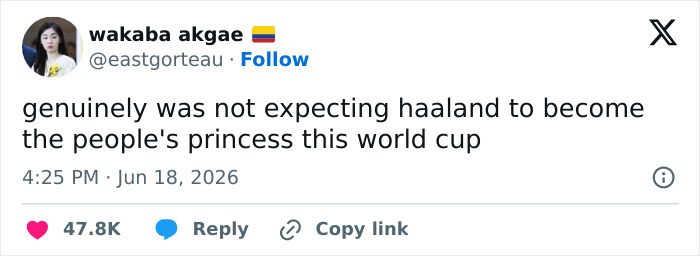 Norwegian Soccer Star’s Hair Sparks Hilarious Comparisons As Fans Demand To Know His Hair Care Secrets Norwegian Soccer Star’s Hair Sparks Hilarious Comparisons As Fans Demand To Know His Hair Care Secrets