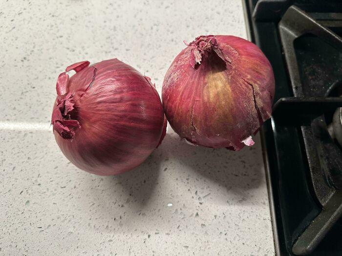 68 Funny Or Infuriating Food Delivery Fails That Might Inspire You To Cook Something At Home