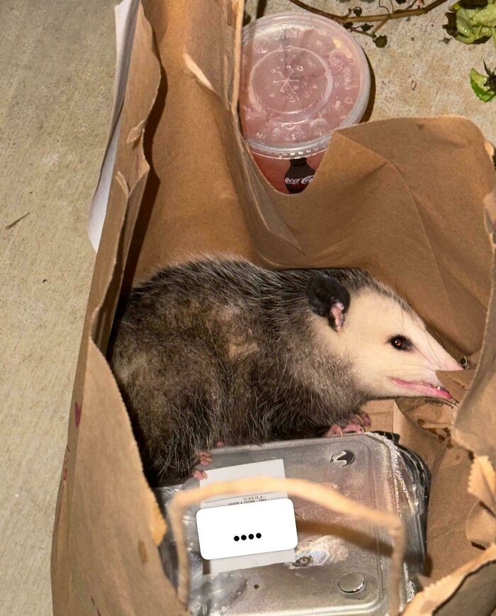 68 Funny Or Infuriating Food Delivery Fails That Might Inspire You To Cook Something At Home