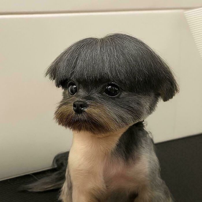 This Community Shares Unfortunate Haircuts, And Here Are 84 Of The Worst Ones (New Pics) This Community Shares Unfortunate Haircuts, And Here Are 84 Of The Worst Ones (New Pics)
