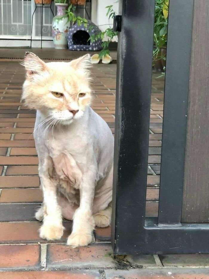 This Community Shares Unfortunate Haircuts, And Here Are 84 Of The Worst Ones (New Pics) This Community Shares Unfortunate Haircuts, And Here Are 84 Of The Worst Ones (New Pics)