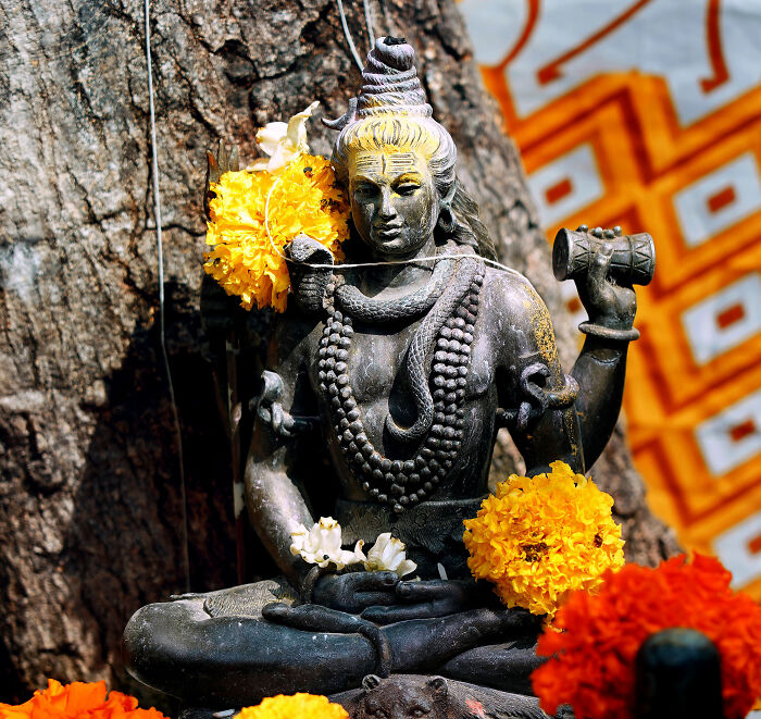 Man Standing For Over 5 Years In Extreme Act Of Devotion Stuns Netizens, Expert Explains The Ritual Man Standing For Over 5 Years In Extreme Act Of Devotion Stuns Netizens, Expert Explains The Ritual