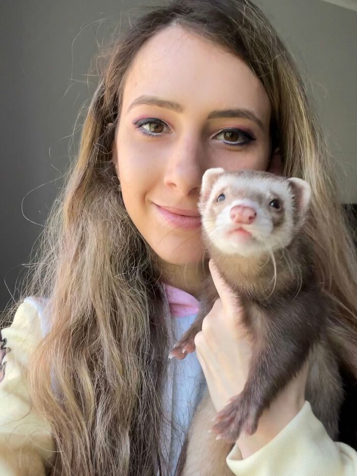 Siberian Girl Illustrates Her Daily Life With Two Ferrets And Other Funny Situations (57 New Pics)