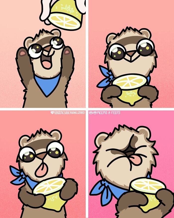Siberian Girl Illustrates Her Daily Life With Two Ferrets And Other Funny Situations (57 New Pics)