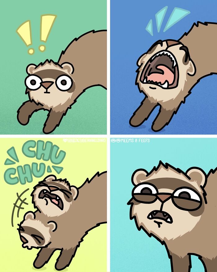 Siberian Girl Illustrates Her Daily Life With Two Ferrets And Other Funny Situations (57 New Pics)