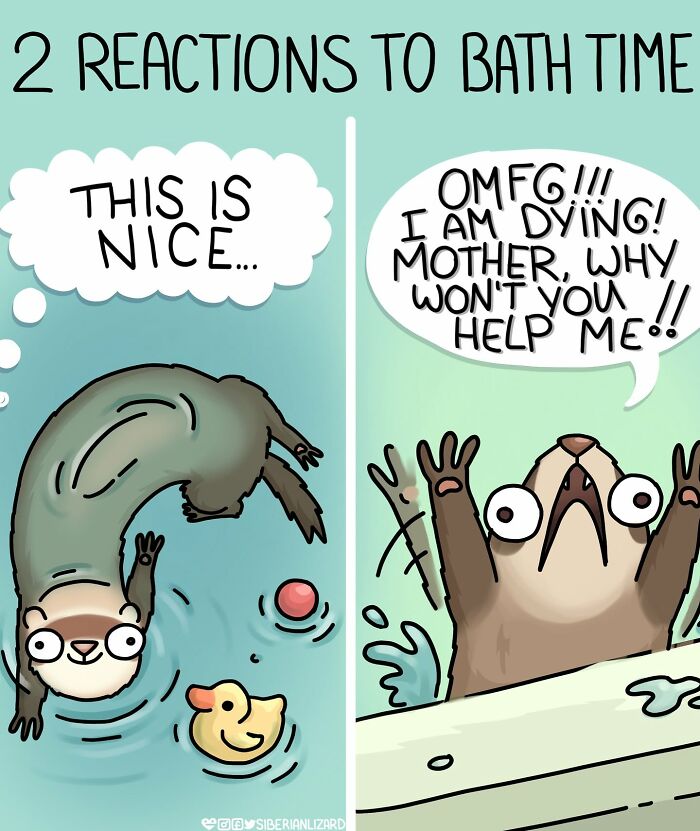 Siberian Girl Illustrates Her Daily Life With Two Ferrets And Other Funny Situations (57 New Pics)
