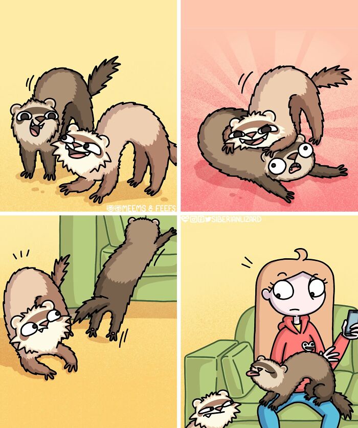 Siberian Girl Illustrates Her Daily Life With Two Ferrets And Other Funny Situations (57 New Pics)