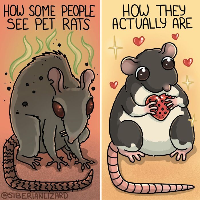 Siberian Girl Illustrates Her Daily Life With Two Ferrets And Other Funny Situations (57 New Pics)