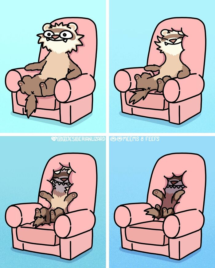 Siberian Girl Illustrates Her Daily Life With Two Ferrets And Other Funny Situations (57 New Pics)