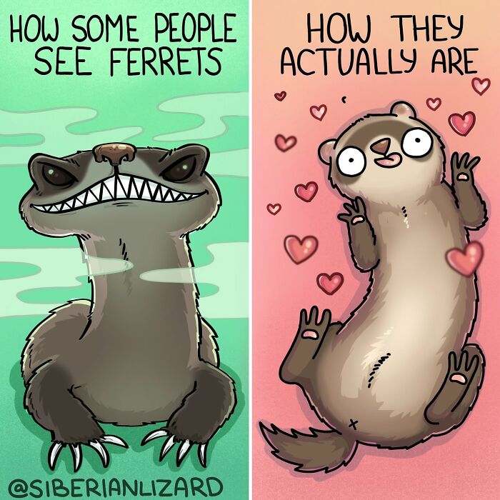 Siberian Girl Illustrates Her Daily Life With Two Ferrets And Other Funny Situations (57 New Pics)