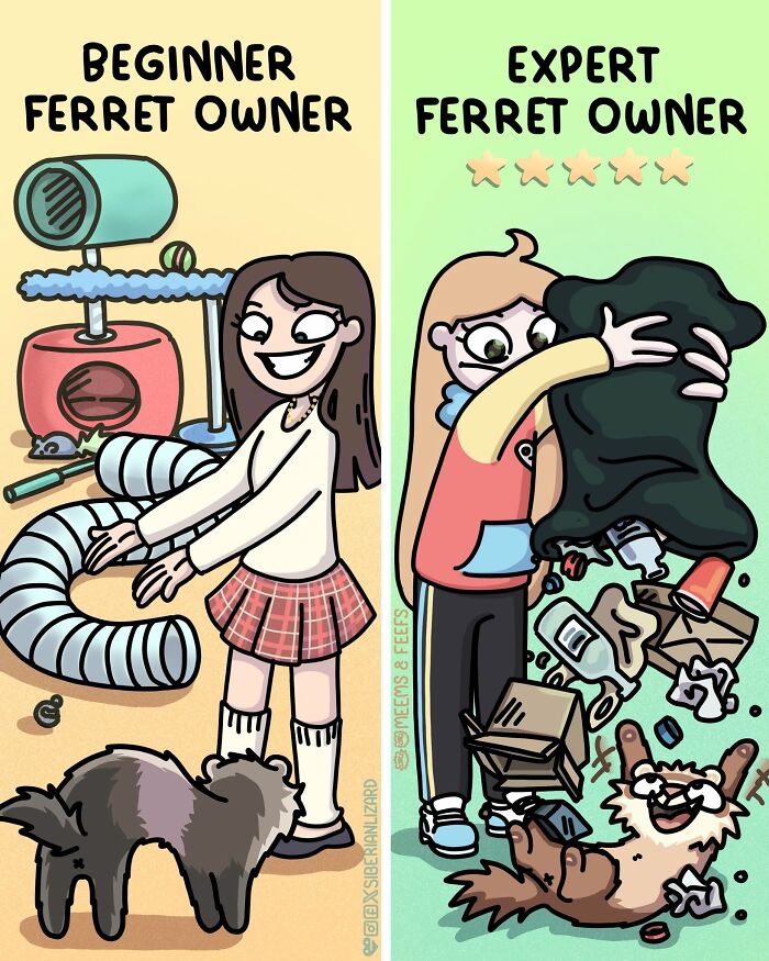 Siberian Girl Illustrates Her Daily Life With Two Ferrets And Other Funny Situations (57 New Pics)