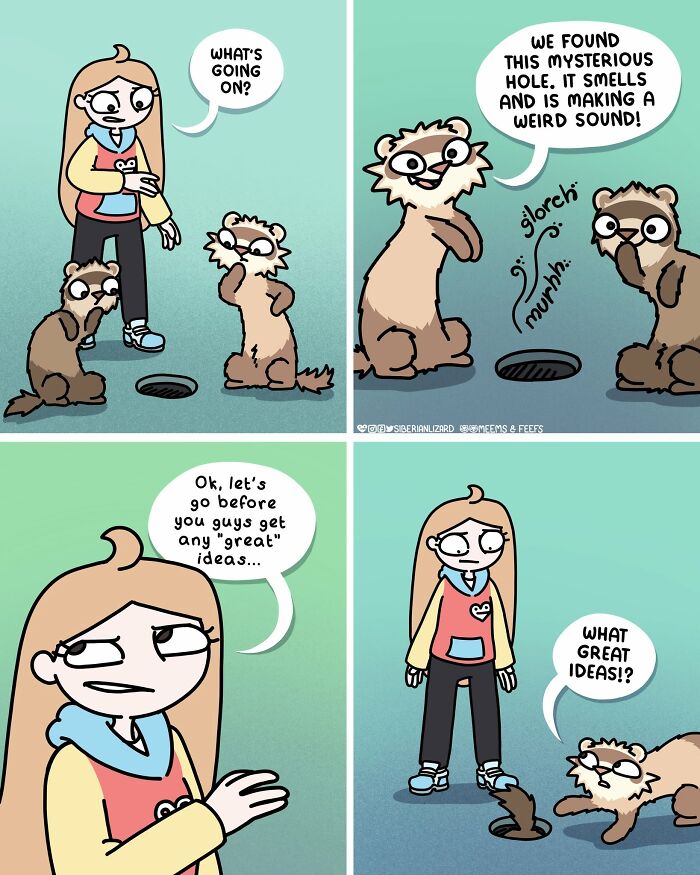 Siberian Girl Illustrates Her Daily Life With Two Ferrets And Other Funny Situations (57 New Pics)