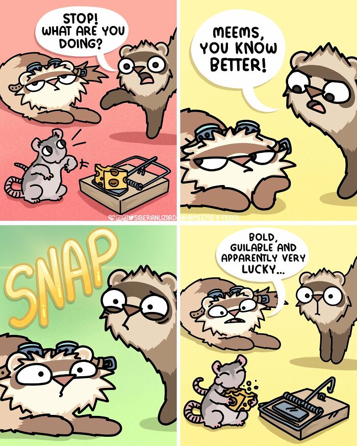 Siberian Girl Illustrates Her Daily Life With Two Ferrets And Other Funny Situations (57 New Pics)