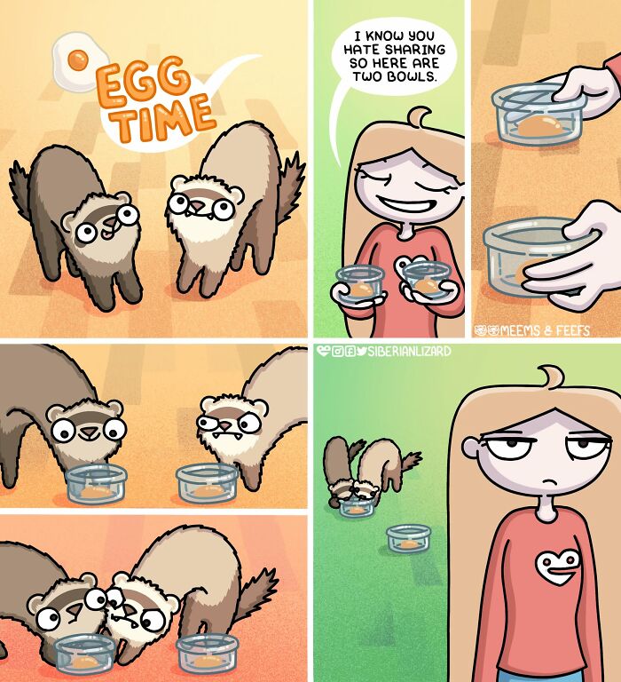 Siberian Girl Illustrates Her Daily Life With Two Ferrets And Other Funny Situations (57 New Pics)