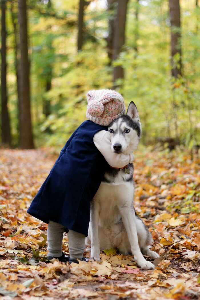 18 Human Habits That Confuse Dogs The Most, According To An Animal Behaviorist 18 Human Habits That Confuse Dogs The Most, According To An Animal Behaviorist