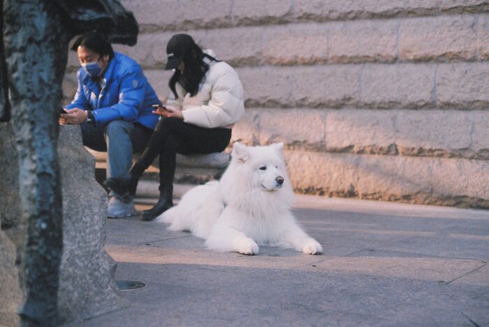 18 Human Habits That Confuse Dogs The Most, According To An Animal Behaviorist 18 Human Habits That Confuse Dogs The Most, According To An Animal Behaviorist