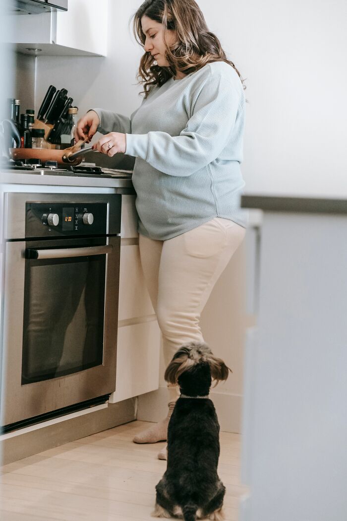 18 Human Habits That Confuse Dogs The Most, According To An Animal Behaviorist 18 Human Habits That Confuse Dogs The Most, According To An Animal Behaviorist