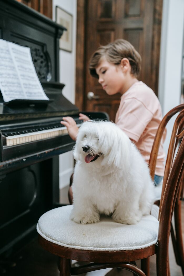 18 Human Habits That Confuse Dogs The Most, According To An Animal Behaviorist 18 Human Habits That Confuse Dogs The Most, According To An Animal Behaviorist