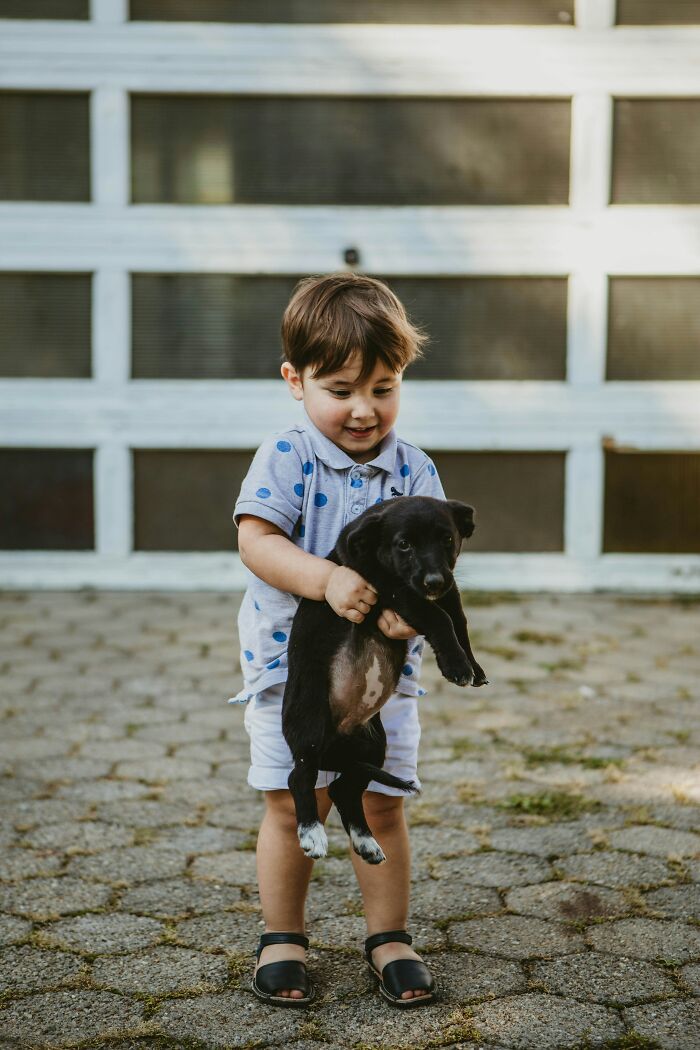 18 Human Habits That Confuse Dogs The Most, According To An Animal Behaviorist 18 Human Habits That Confuse Dogs The Most, According To An Animal Behaviorist