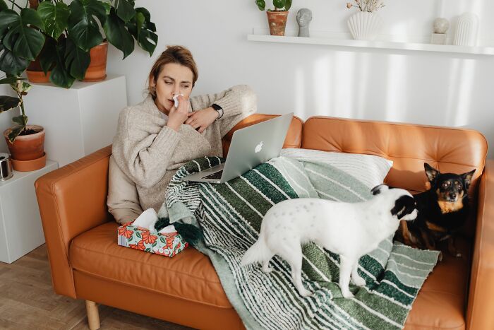 18 Human Habits That Confuse Dogs The Most, According To An Animal Behaviorist 18 Human Habits That Confuse Dogs The Most, According To An Animal Behaviorist