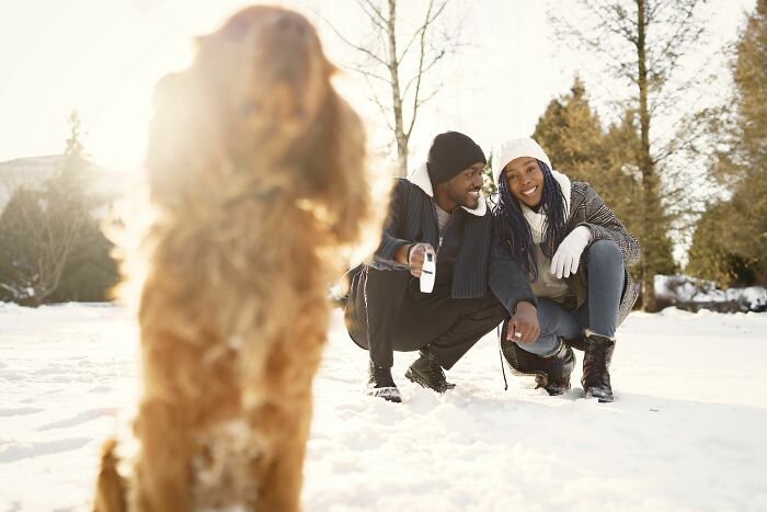 18 Human Habits That Confuse Dogs The Most, According To An Animal Behaviorist 18 Human Habits That Confuse Dogs The Most, According To An Animal Behaviorist